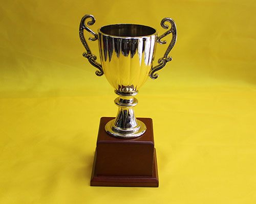 Trophy Cups (5)