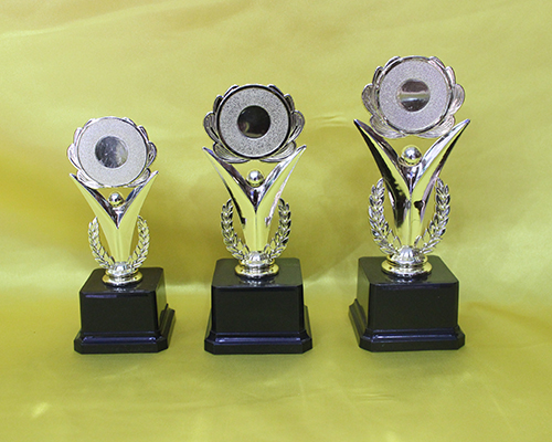 Trophy Cups (7)